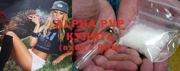 твердый Аркадак