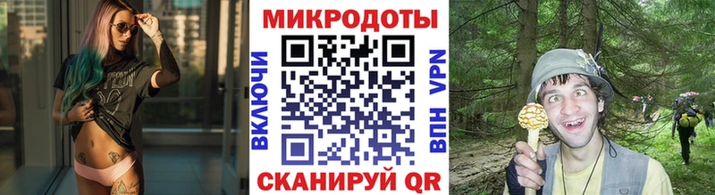 магазин наркотиков Новый Уренгой мега рабочий сайт Псилоцибиновые грибы Psilocybe